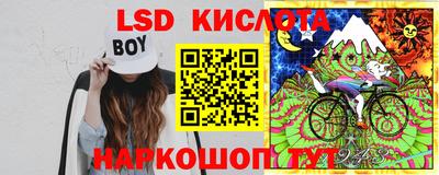 крисы Берёзовский
