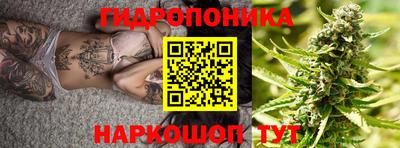 крисы Берёзовский