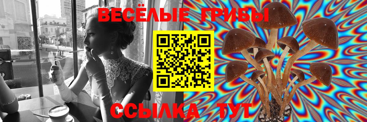 Ковров  Галлюциногенные грибы Cubensis  Вход с VPN 